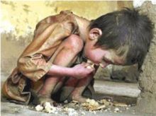 صورة وتعليق أدبي صورة وتعليق أدبي