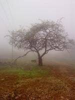 الصورة الرمزية ابومعاوية