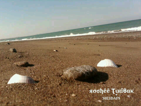 zaffran beach
