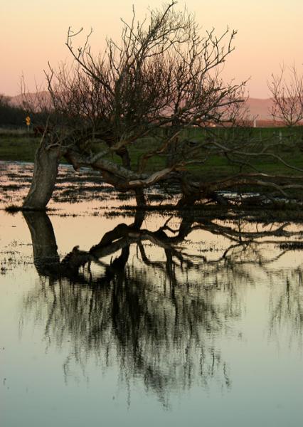 1478605 ba991dc9a652ec6f